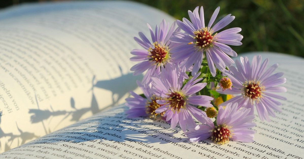 Book review: When Girls Fall Out