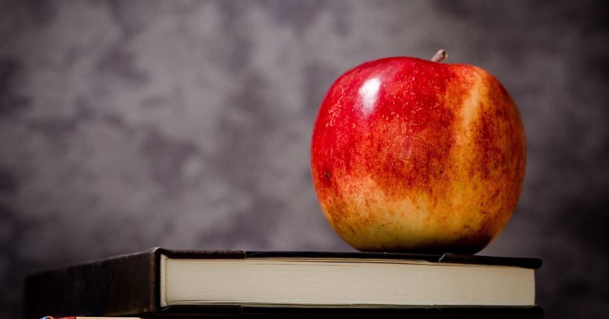 AFIS Research: What Drives Choice in Independent Schooling?